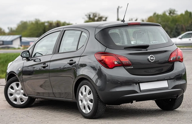 Opel Corsa cena 44900 przebieg: 22000, rok produkcji 2017 z Radom małe 436